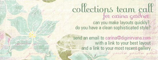 collectionsteamcall