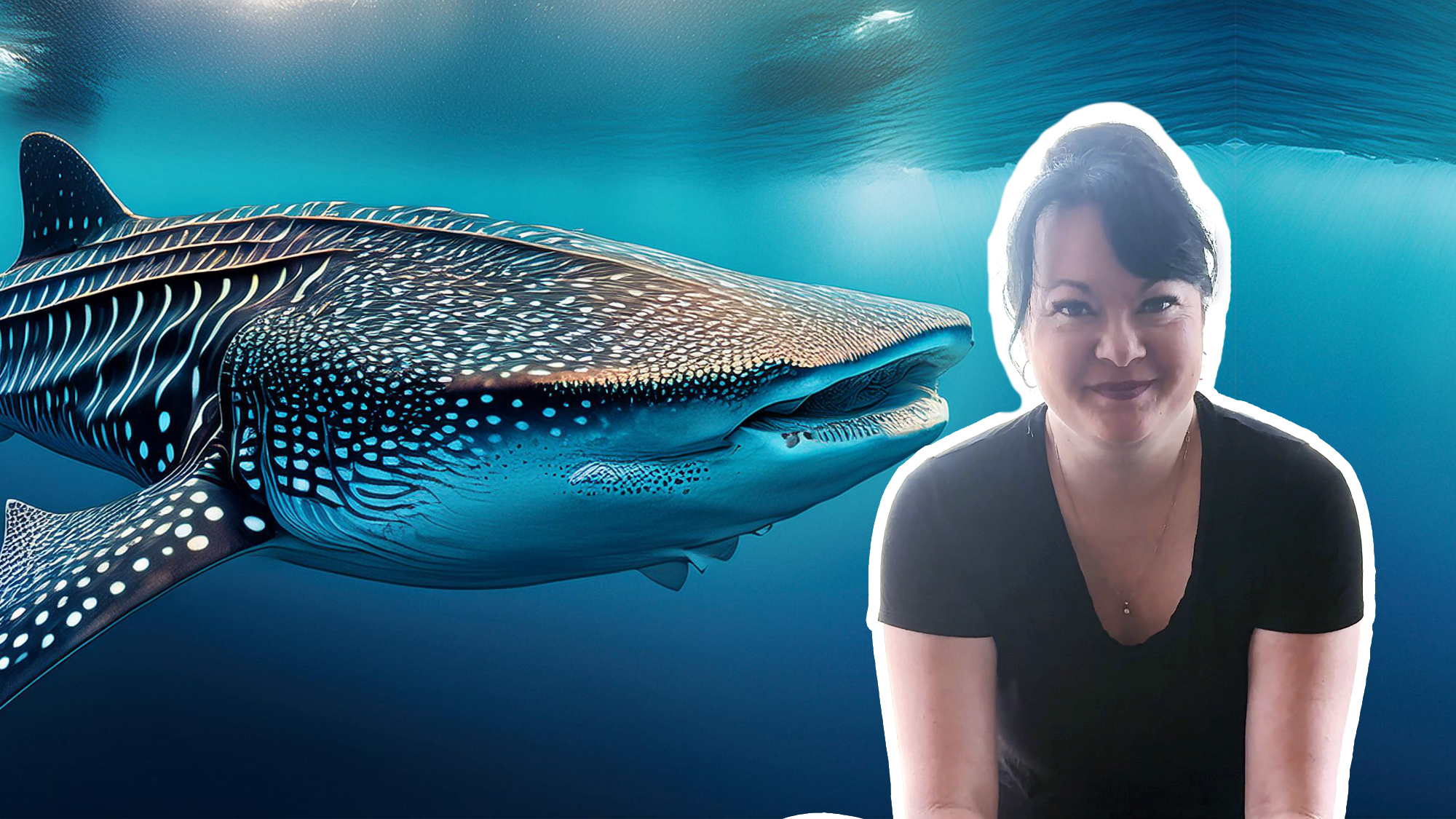 Design Around the World Whale Shark Aquarium in Osaka 2024 creative business highlights